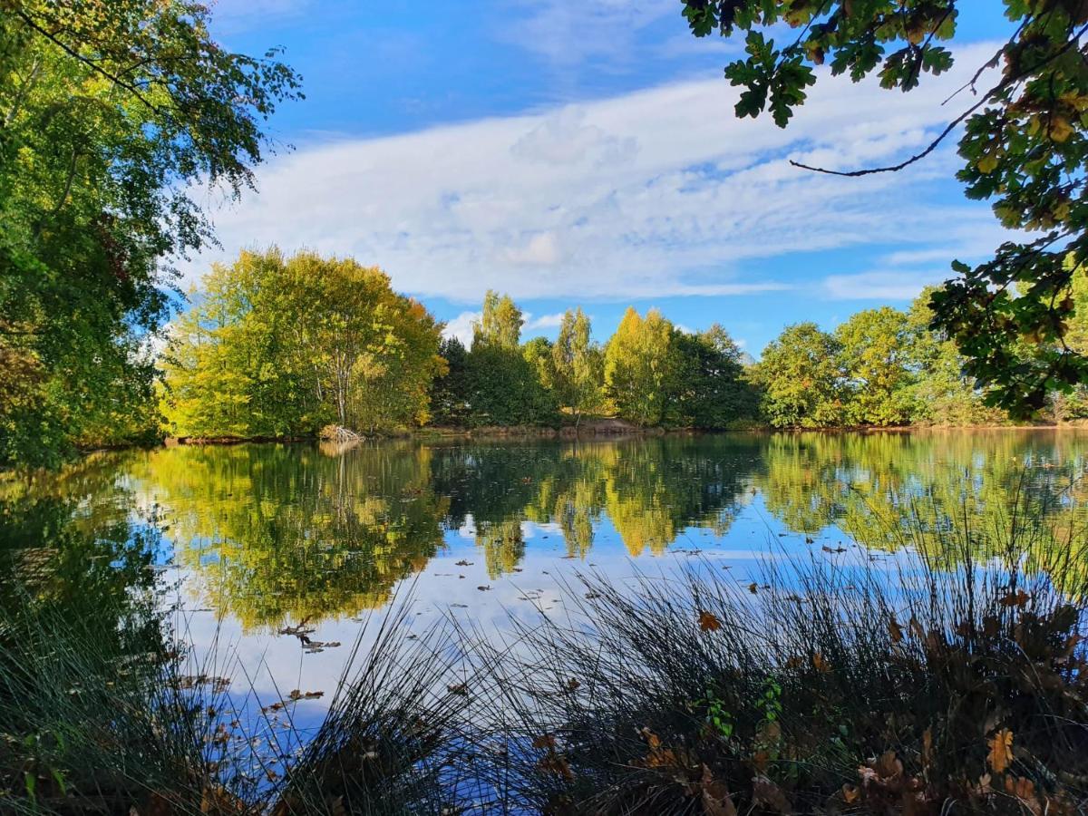 Ferienwohnung Am See Dillich - Eigener Garten - Ruhige Lage - Natur Vor Der Haustuer Borken  Екстериор снимка