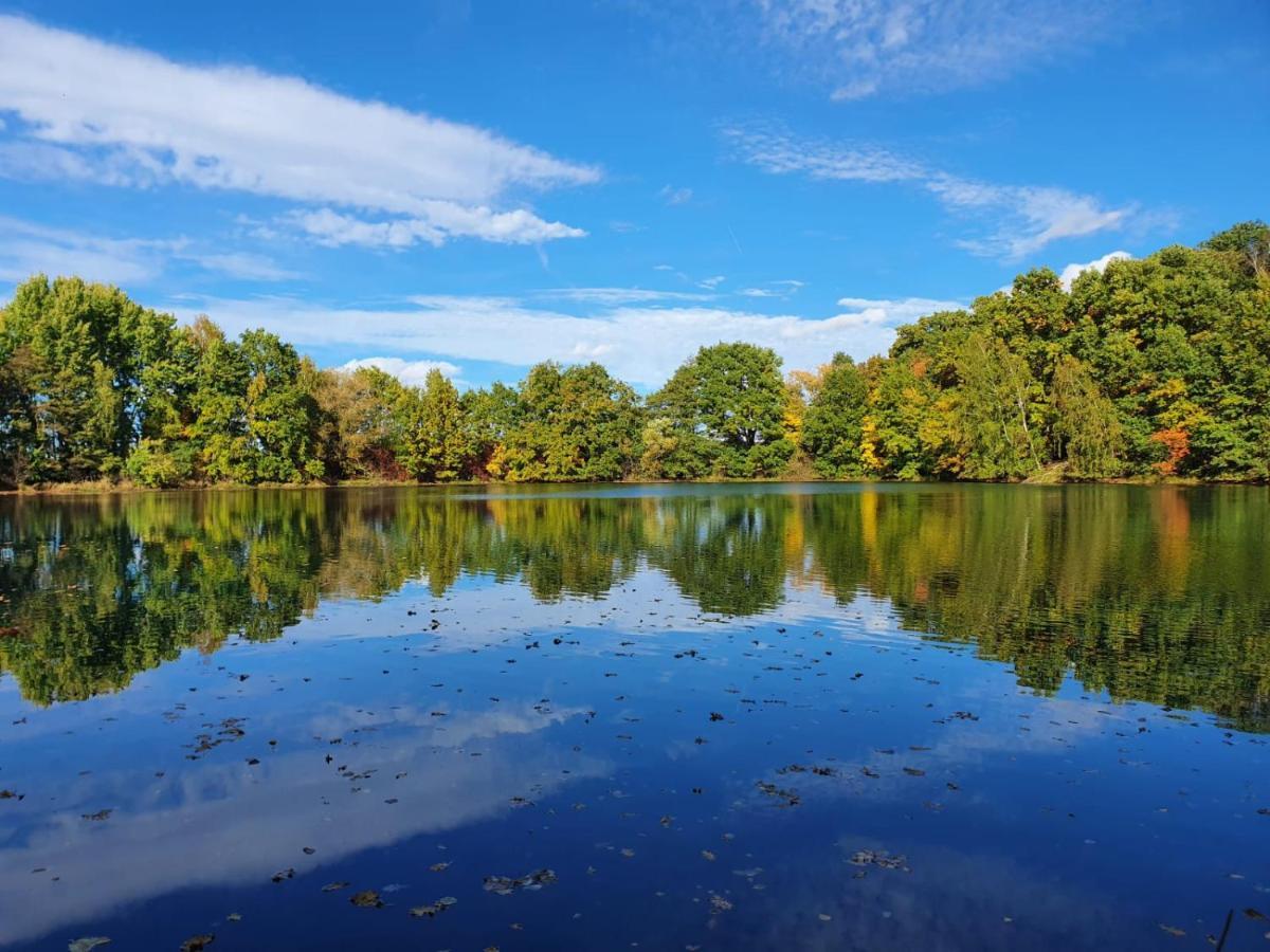 Ferienwohnung Am See Dillich - Eigener Garten - Ruhige Lage - Natur Vor Der Haustuer Borken  Екстериор снимка