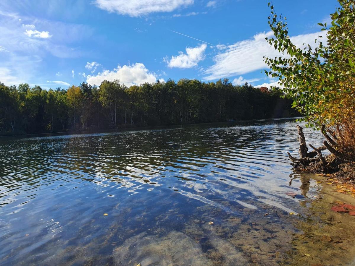 Ferienwohnung Am See Dillich - Eigener Garten - Ruhige Lage - Natur Vor Der Haustuer Borken  Екстериор снимка
