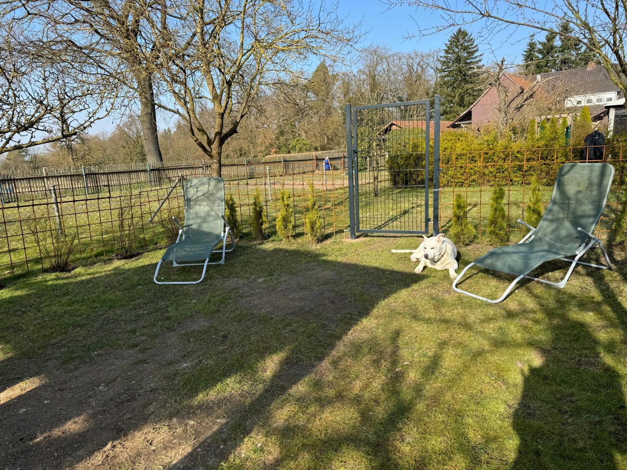 Ferienwohnung Am See Dillich - Eigener Garten - Ruhige Lage - Natur Vor Der Haustuer Borken  Екстериор снимка